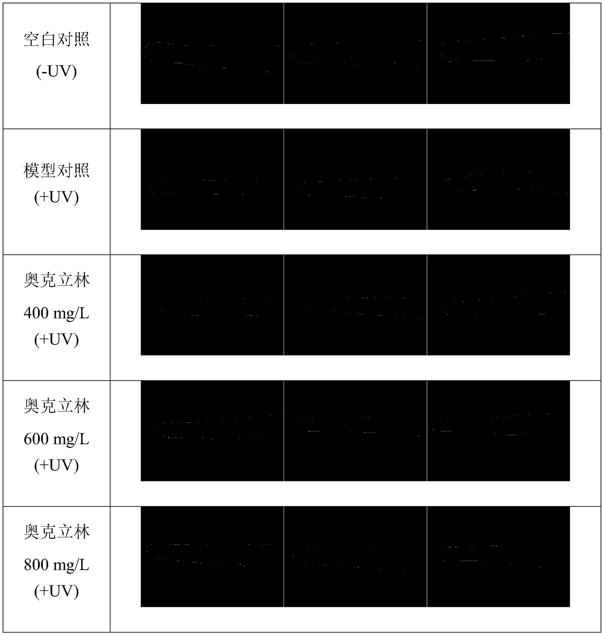 Detection method for sunscreen efficacy of sunscreen skin care products