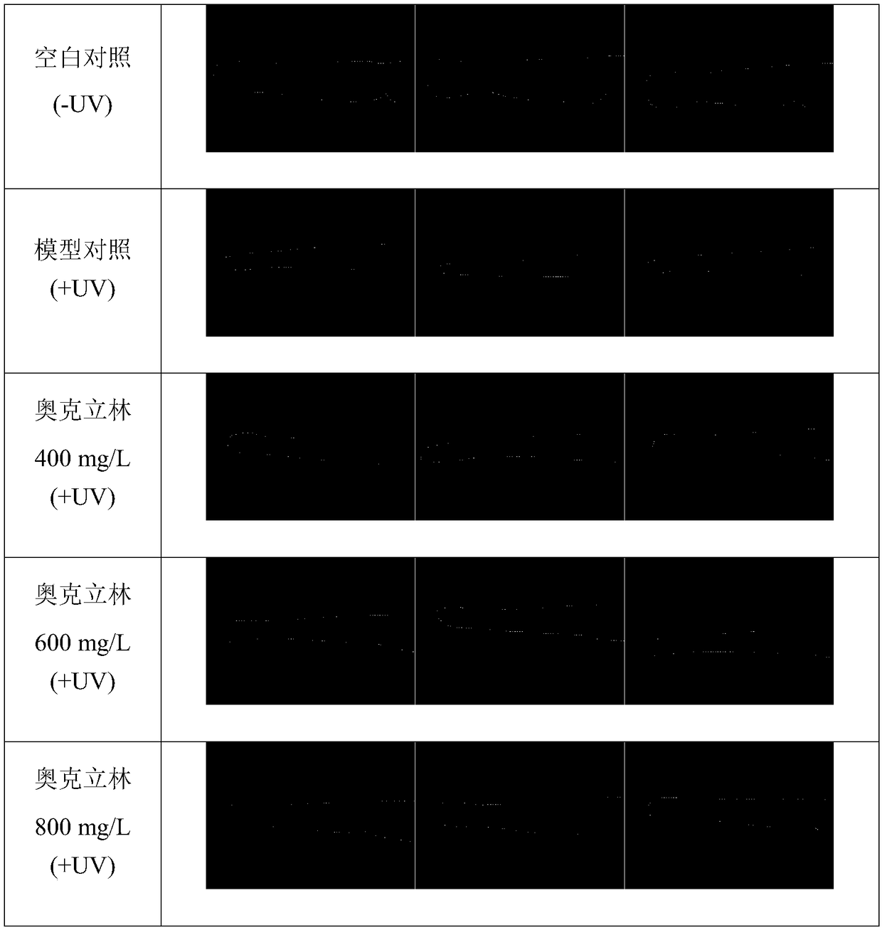 Detection method for sunscreen efficacy of sunscreen skin care products