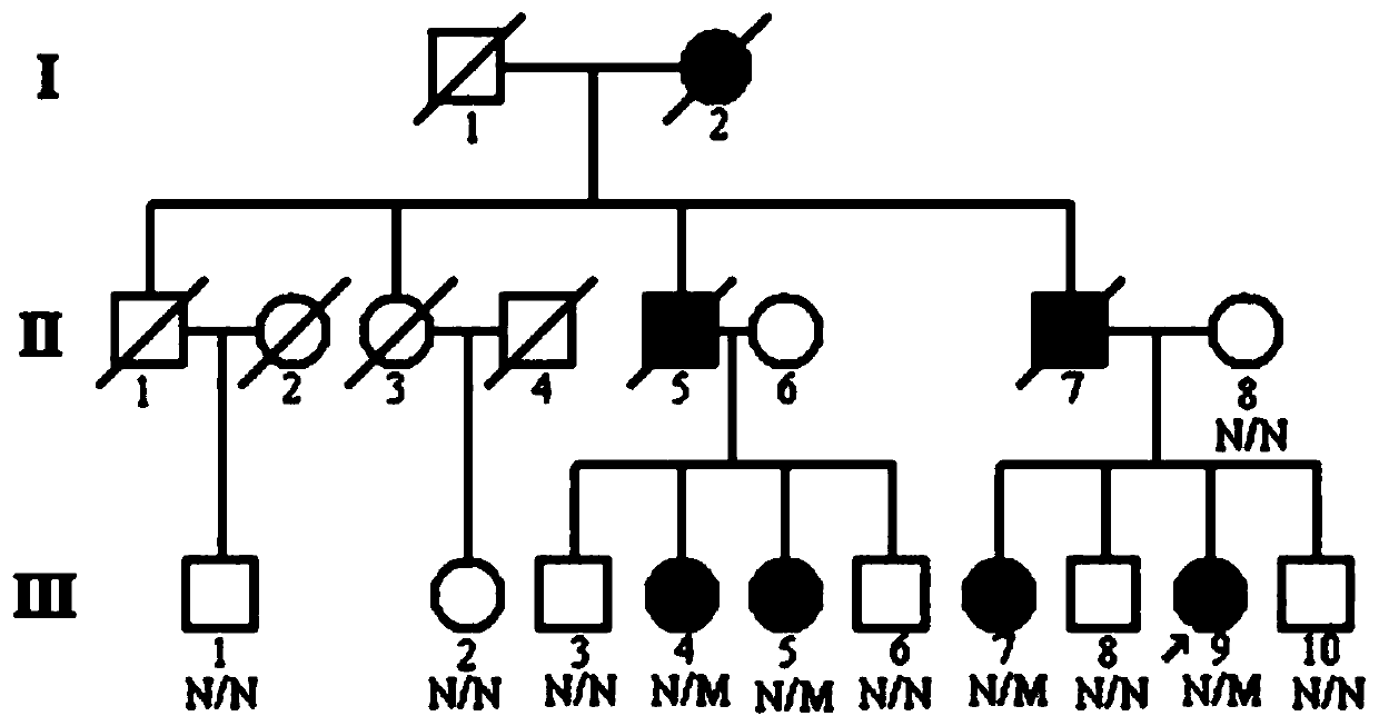 Parkinson's disease causative gene and detection kit