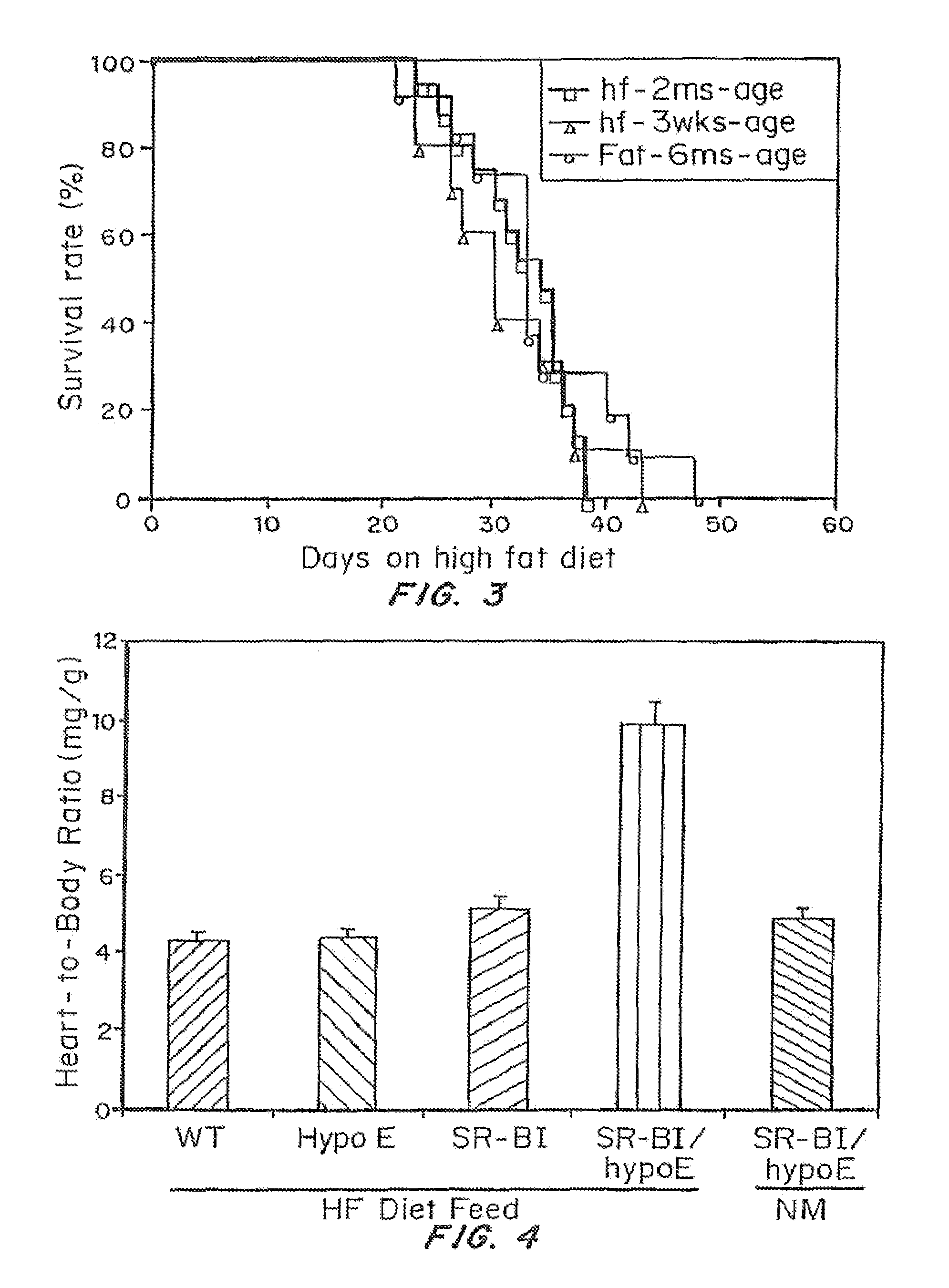 Inducible heart attack animal model