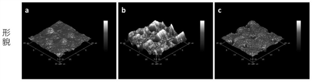 Dental bone material for in-vitro collagen demineralization