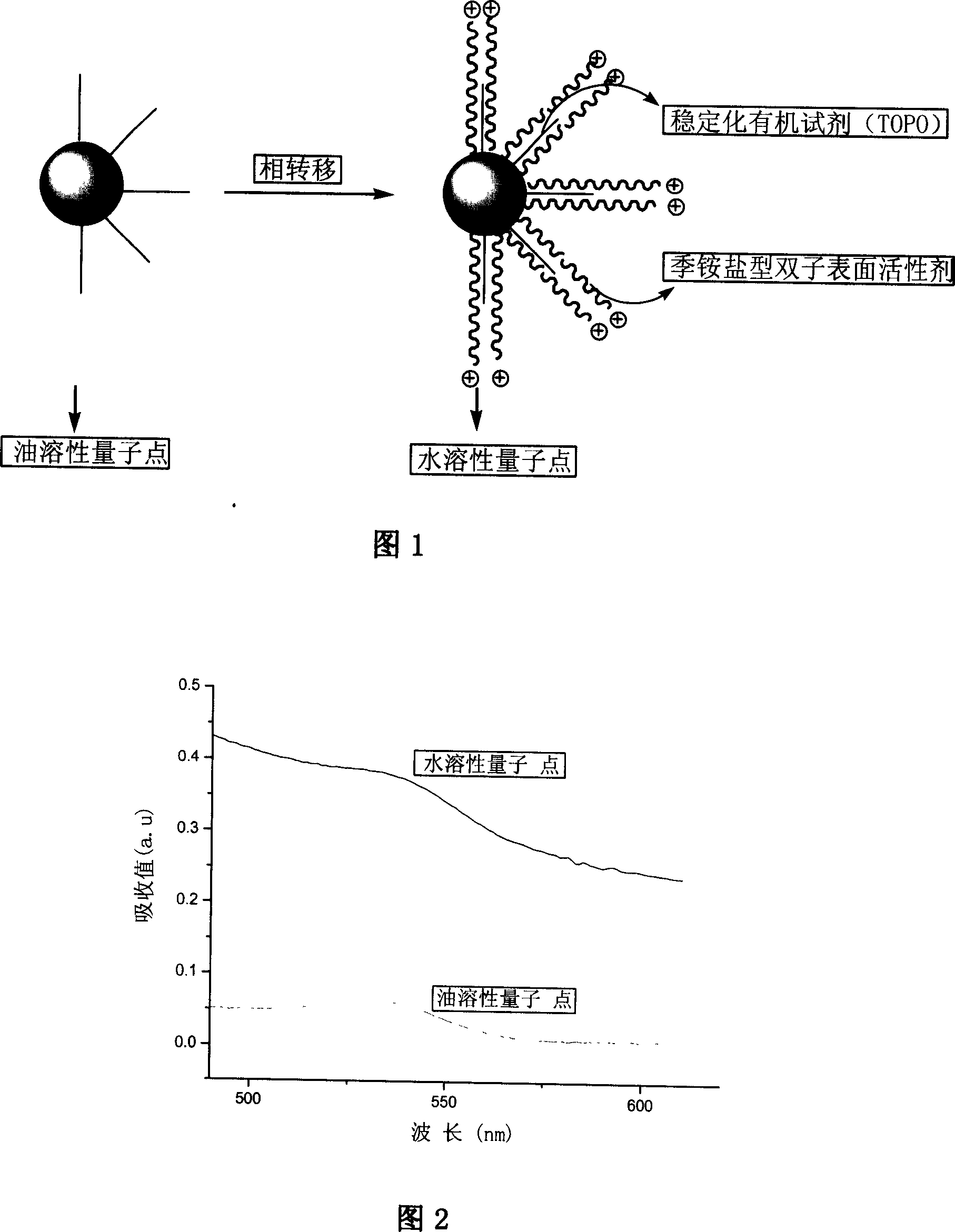 Water-soluble quantum point under condition of phase transition, and preparation method