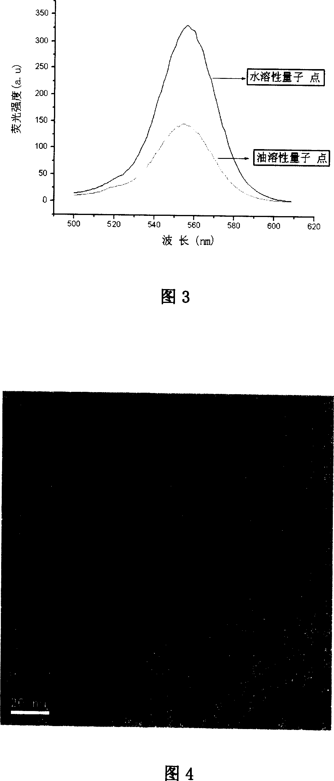 Water-soluble quantum point under condition of phase transition, and preparation method