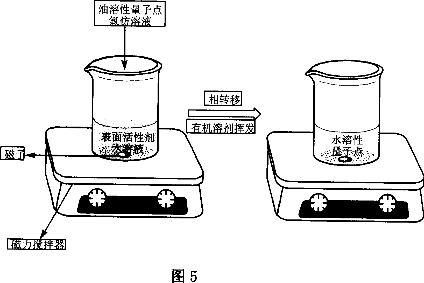 Water-soluble quantum point under condition of phase transition, and preparation method