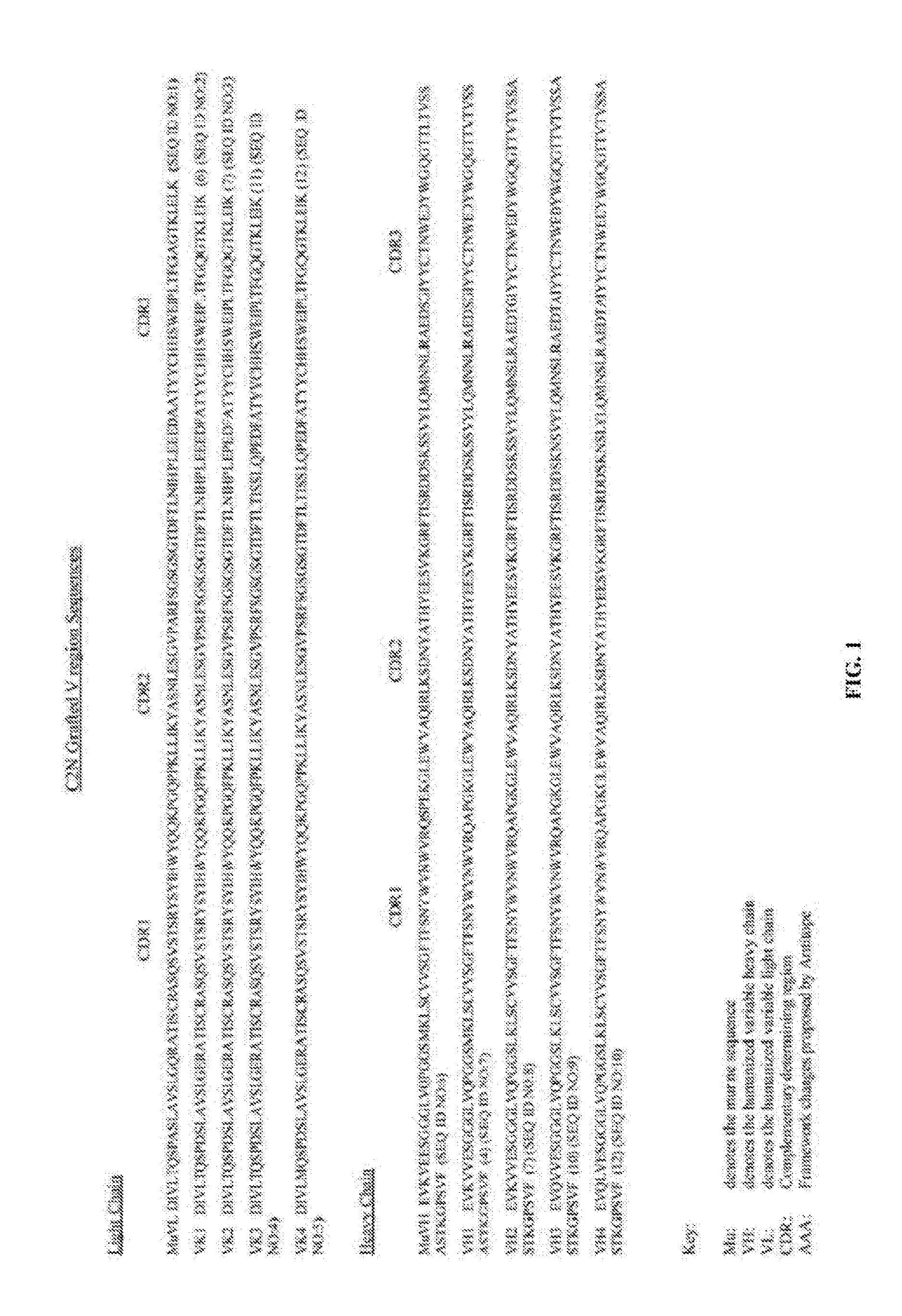 Humanized Anti-tau antibodies