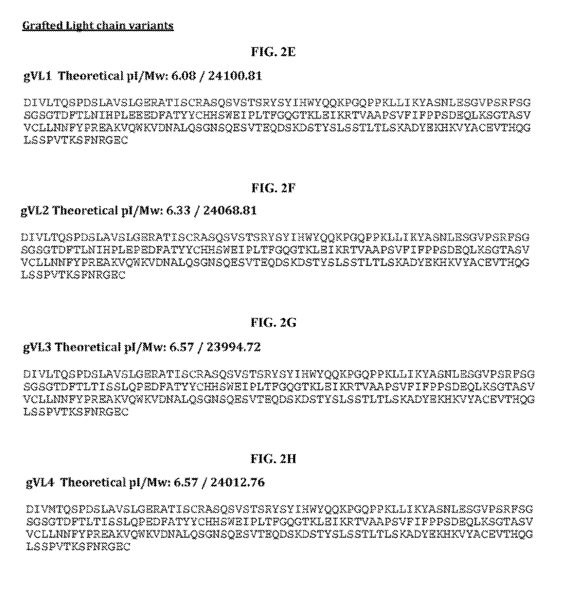 Humanized Anti-tau antibodies