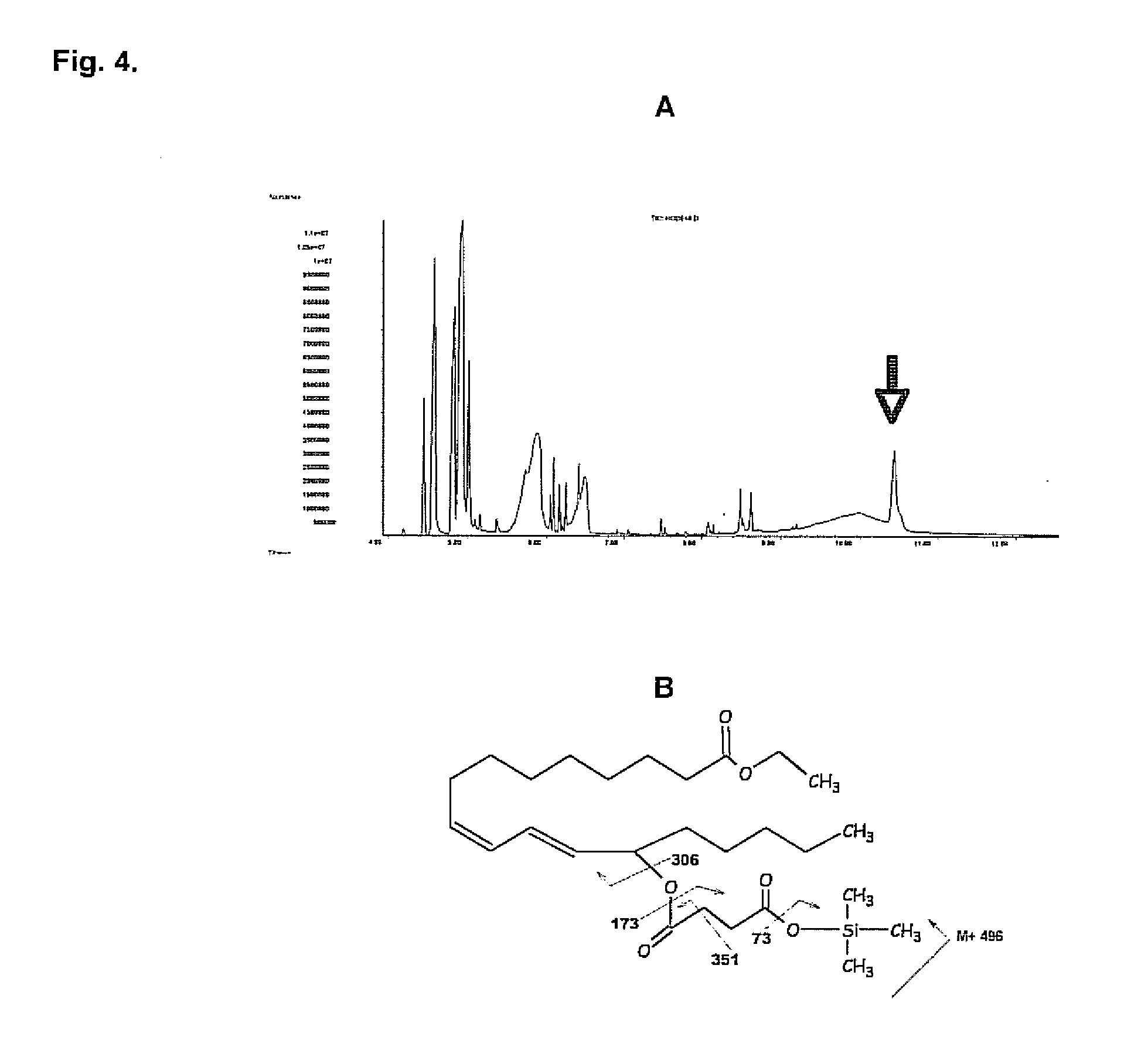 Detection of alcohol-esterified fatty acids