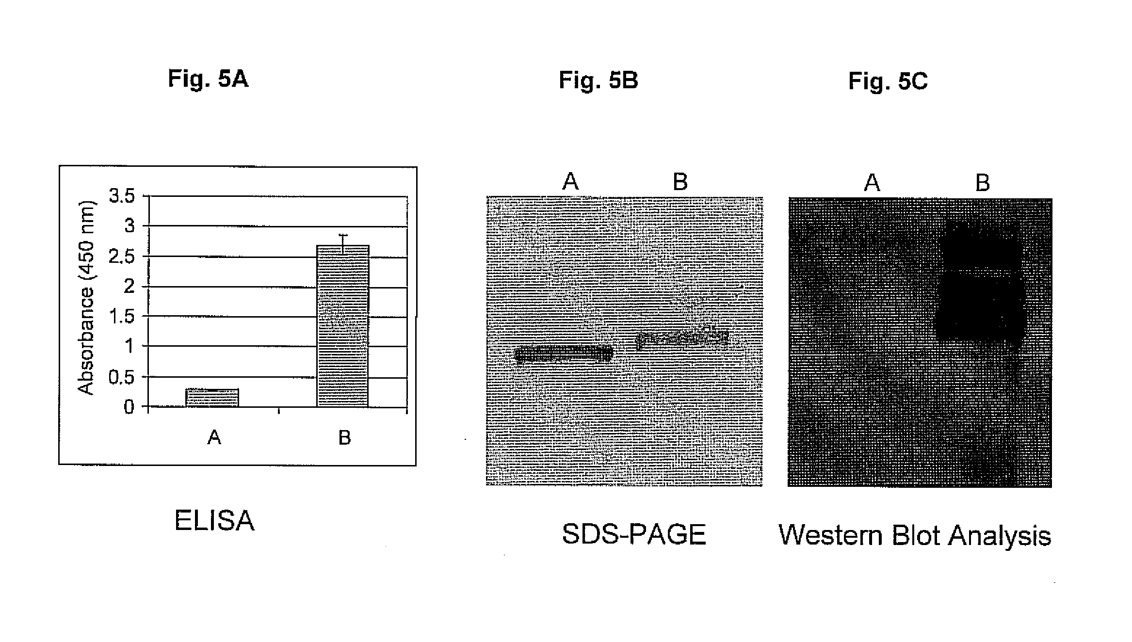 Detection of alcohol-esterified fatty acids