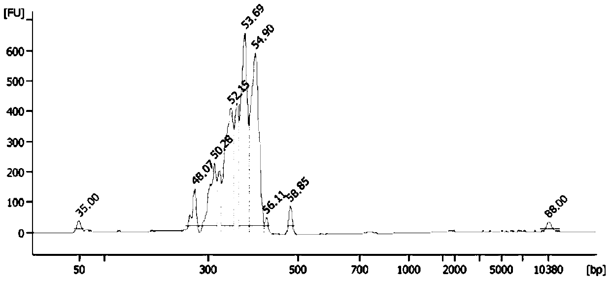 A kind of MMR gene mutation detection kit