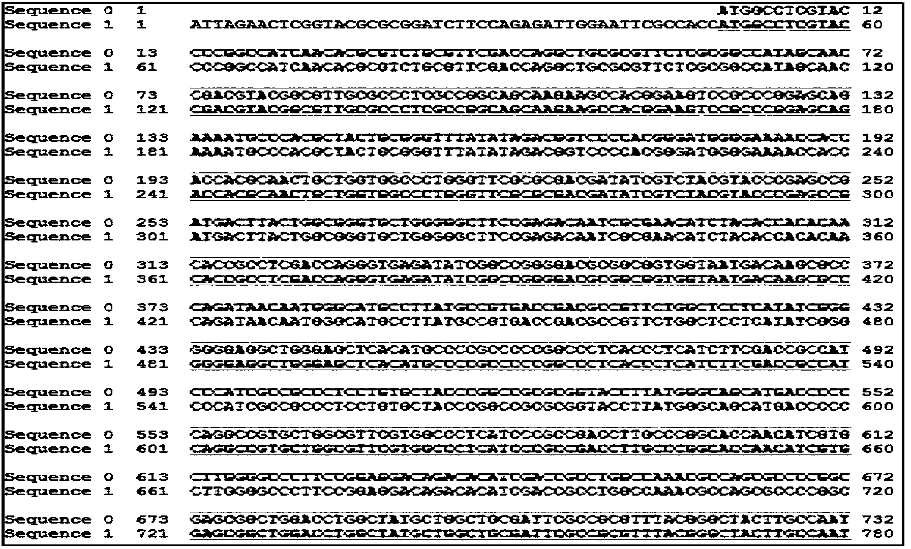 Anti-oncogene magnetic composite nanoparticle and preparation method thereof