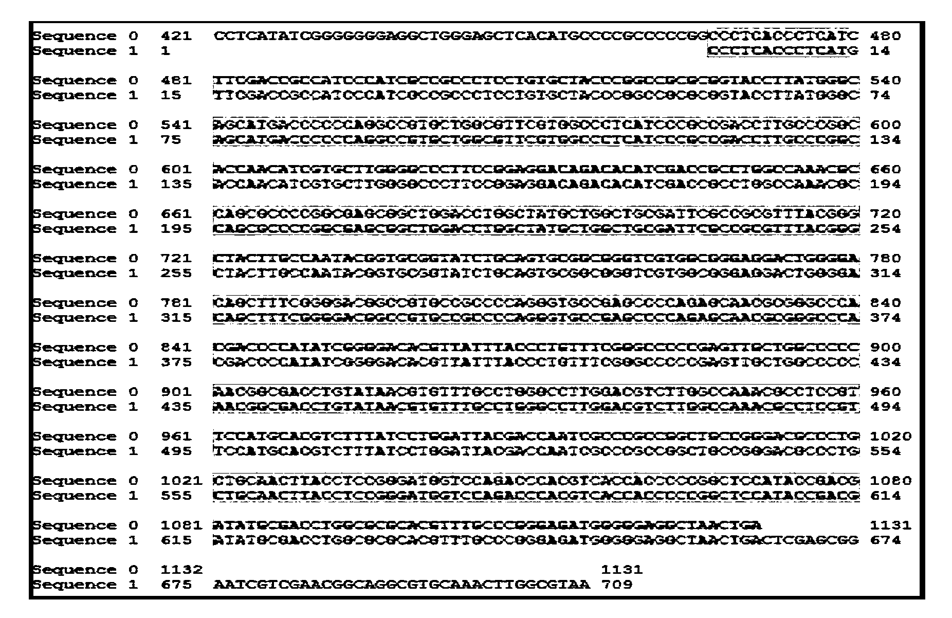 Anti-oncogene magnetic composite nanoparticle and preparation method thereof