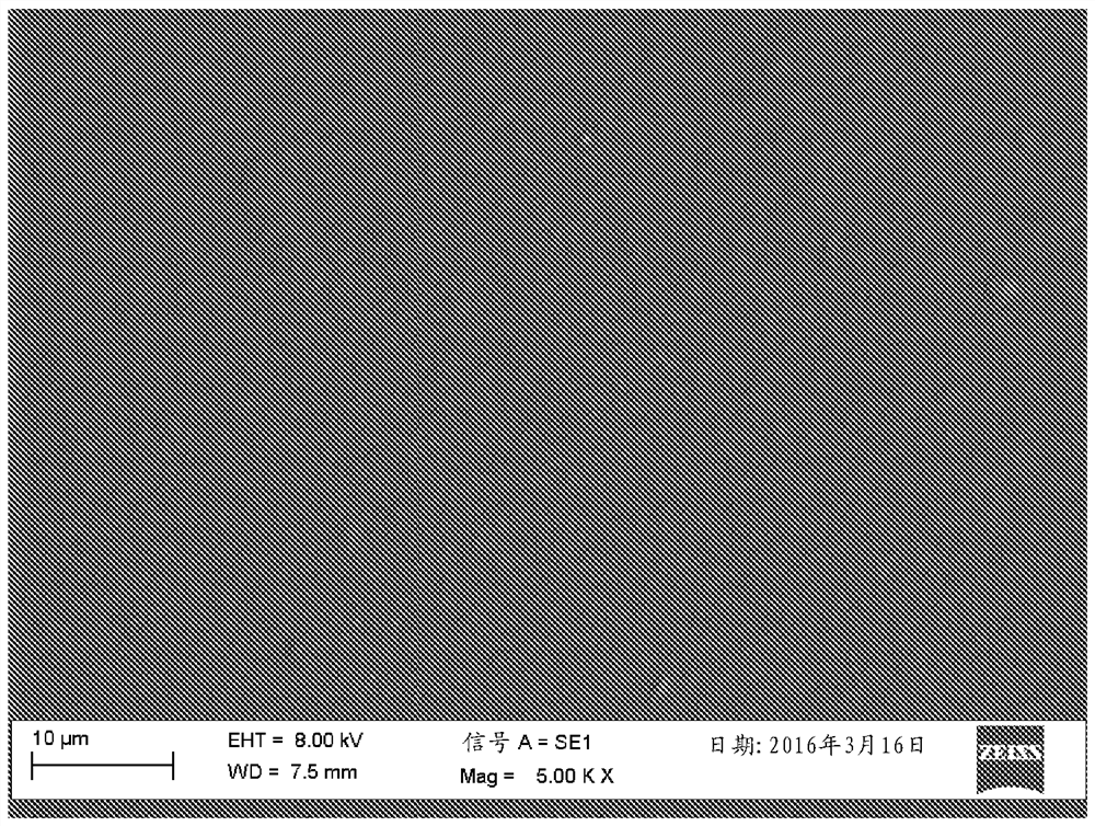 Antimicrobial coatings based on pectin or gelatin