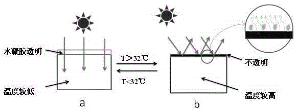 A preparation method and application method of hydrogel for intelligent temperature control