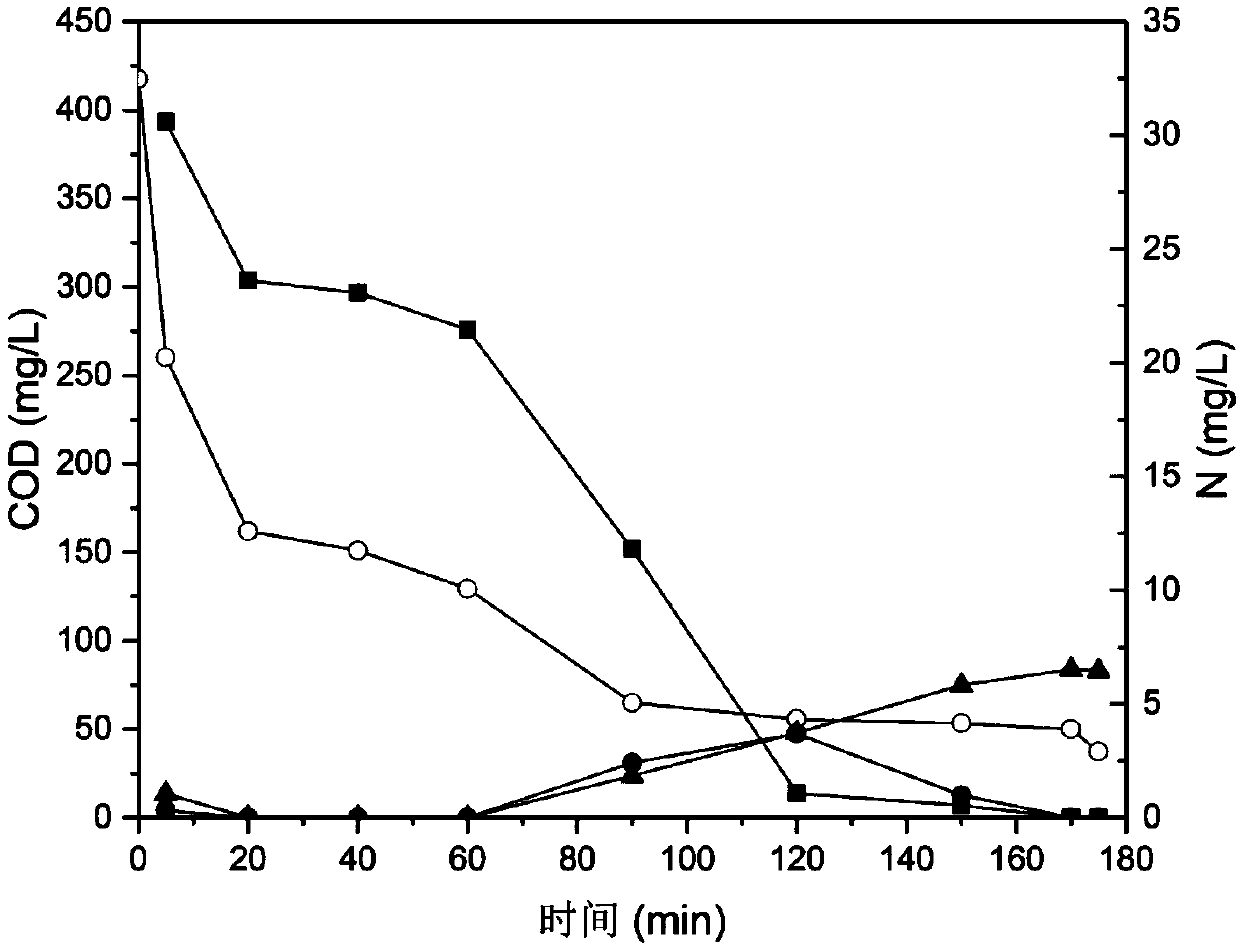 Membrane aeration aerobic granular sludge reactor, and method for culturing aerobic granular sludge and synchronously removing nitrogen and carbon of reactor