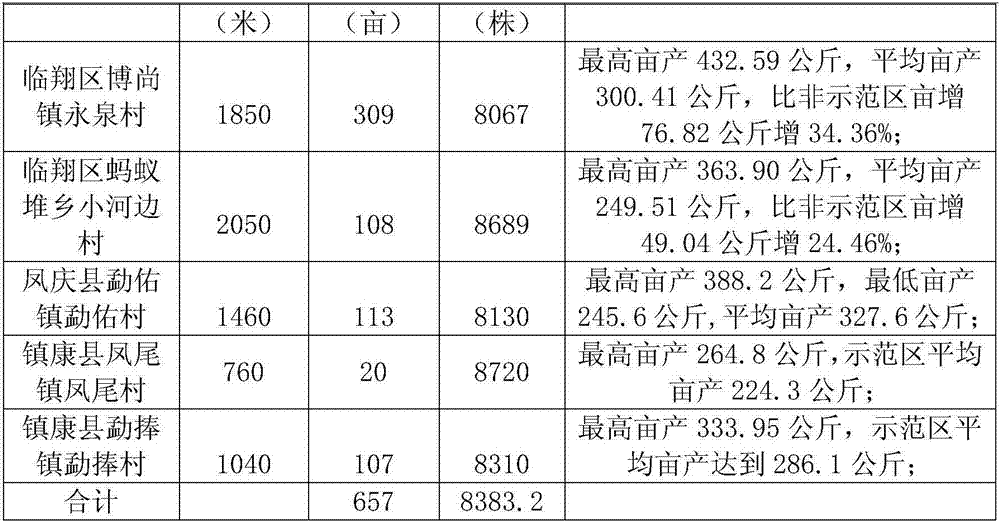 Rape three-refined plantation method