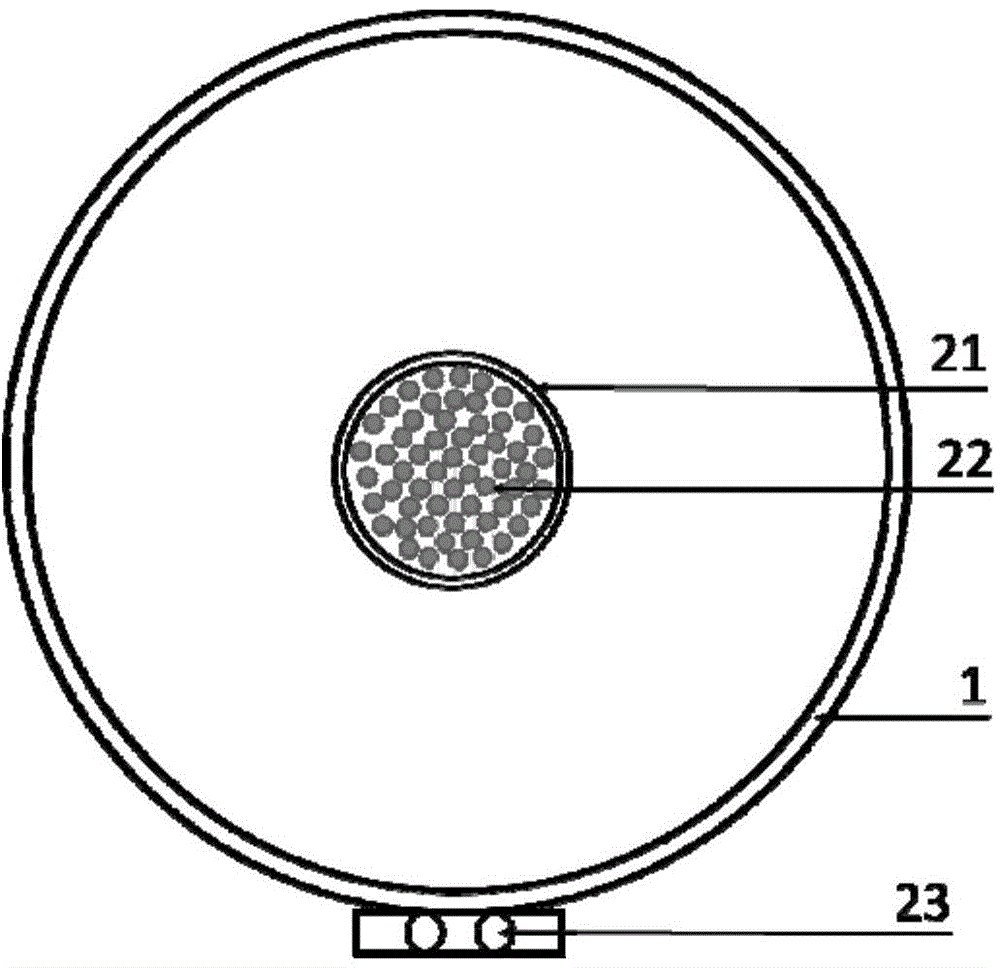 Device and method for preparing large-size high-quality graphene single crystal