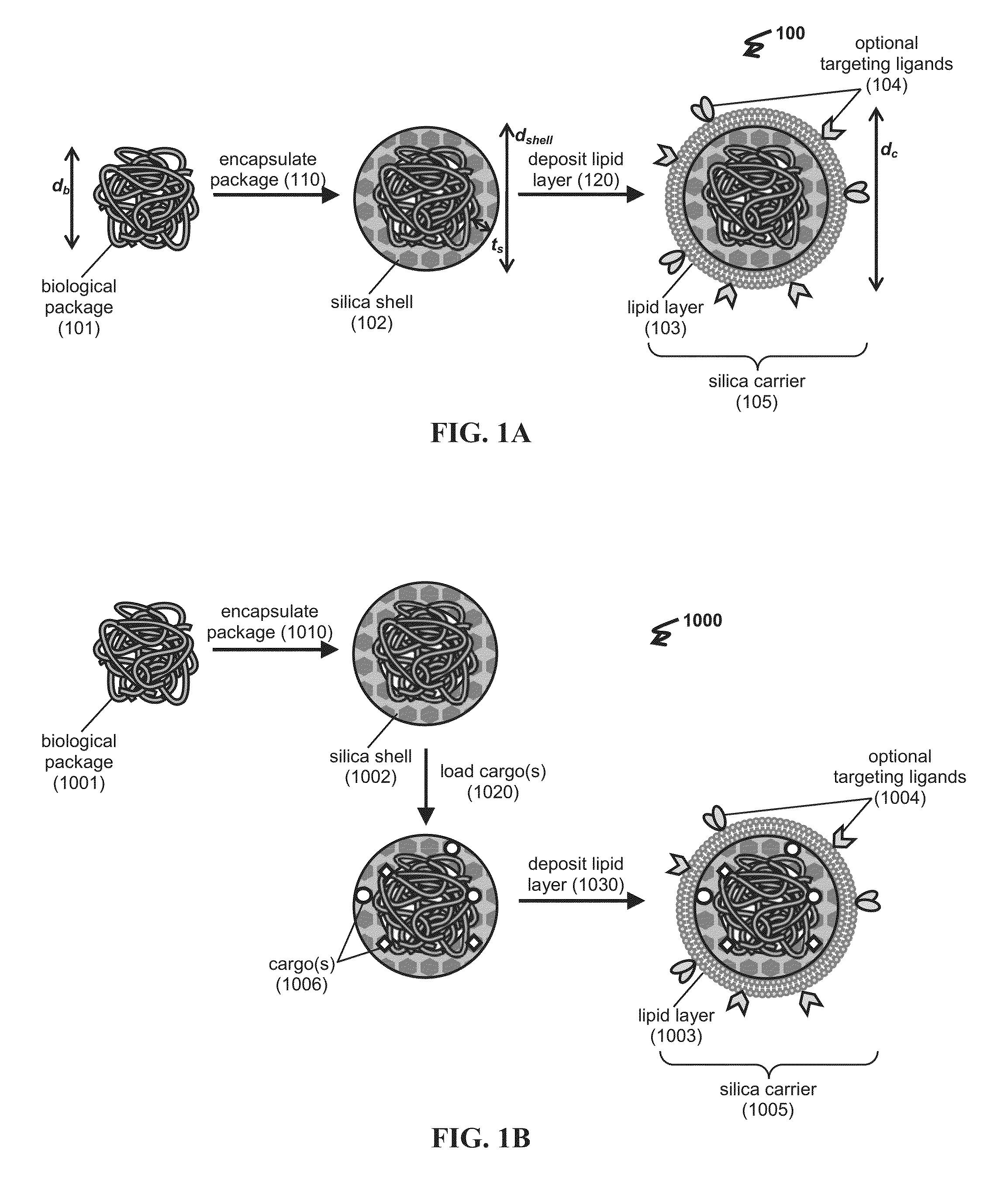 Delivery platforms for the domestication of algae and plants