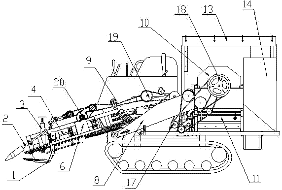 Two-ridge four-row whole-feeding peanut combine harvester