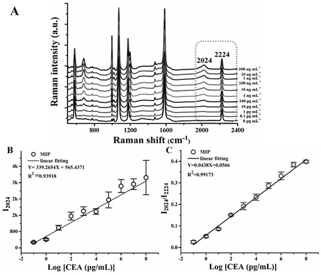 A method for high-precision detection of cea by molecular imprinting combined with silent regional standard sers technology