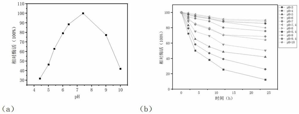 A kind of chitinase cmchi6 gene and its cloning expression and application