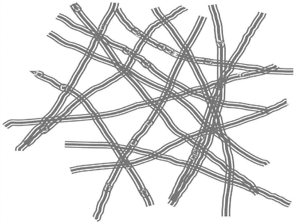 A preparation method of a composite membrane with the function of adsorbing and separating heavy metal ions