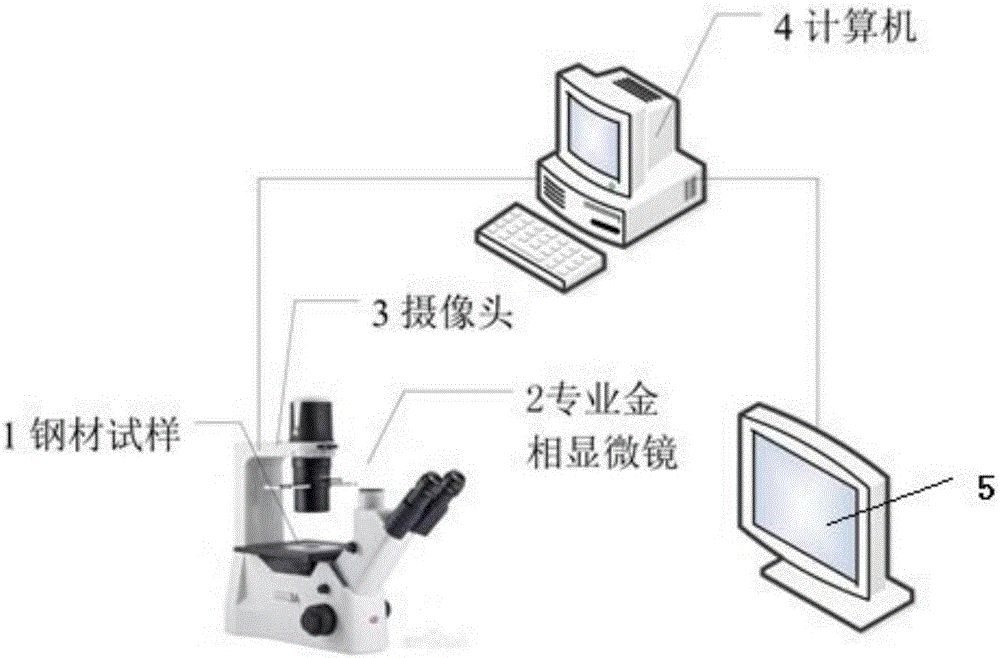 Automatic grain boundary extraction method for steel grain