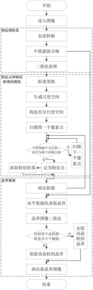 Automatic grain boundary extraction method for steel grain