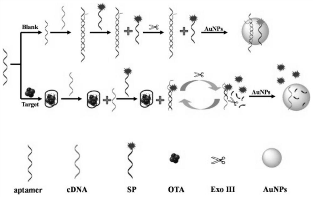 A colorimetric sensor, detection system and application for the detection of mycotoxins in food