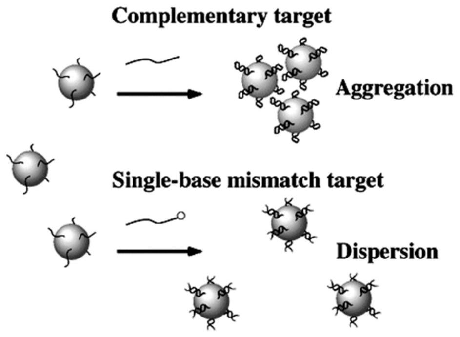 A colorimetric sensor, detection system and application for the detection of mycotoxins in food