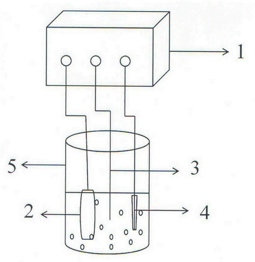 Electrochemical sensor for simultaneously detecting cadmium and lead ions and preparation method