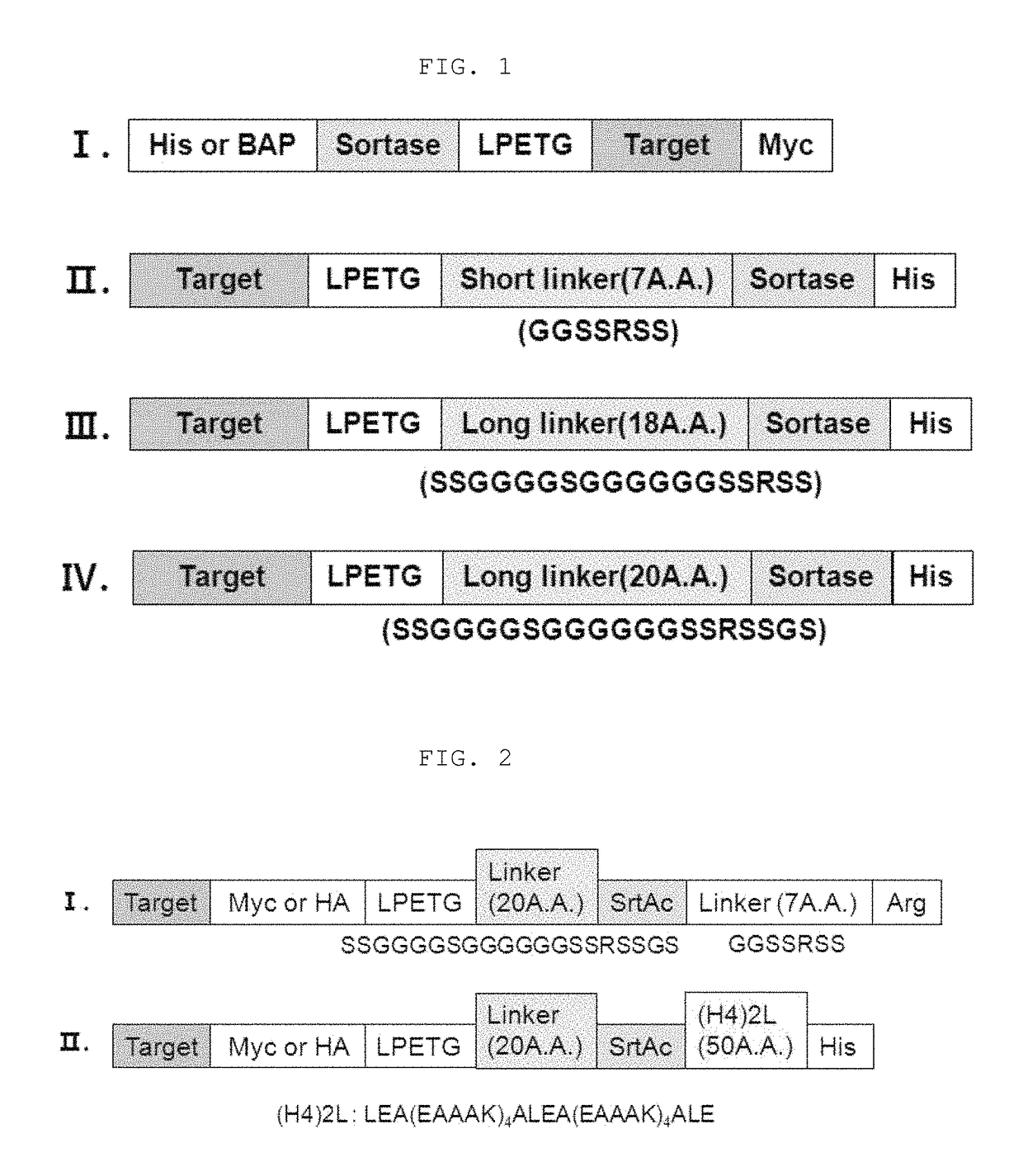 Method for refining protein including self-cutting cassette and use thereof