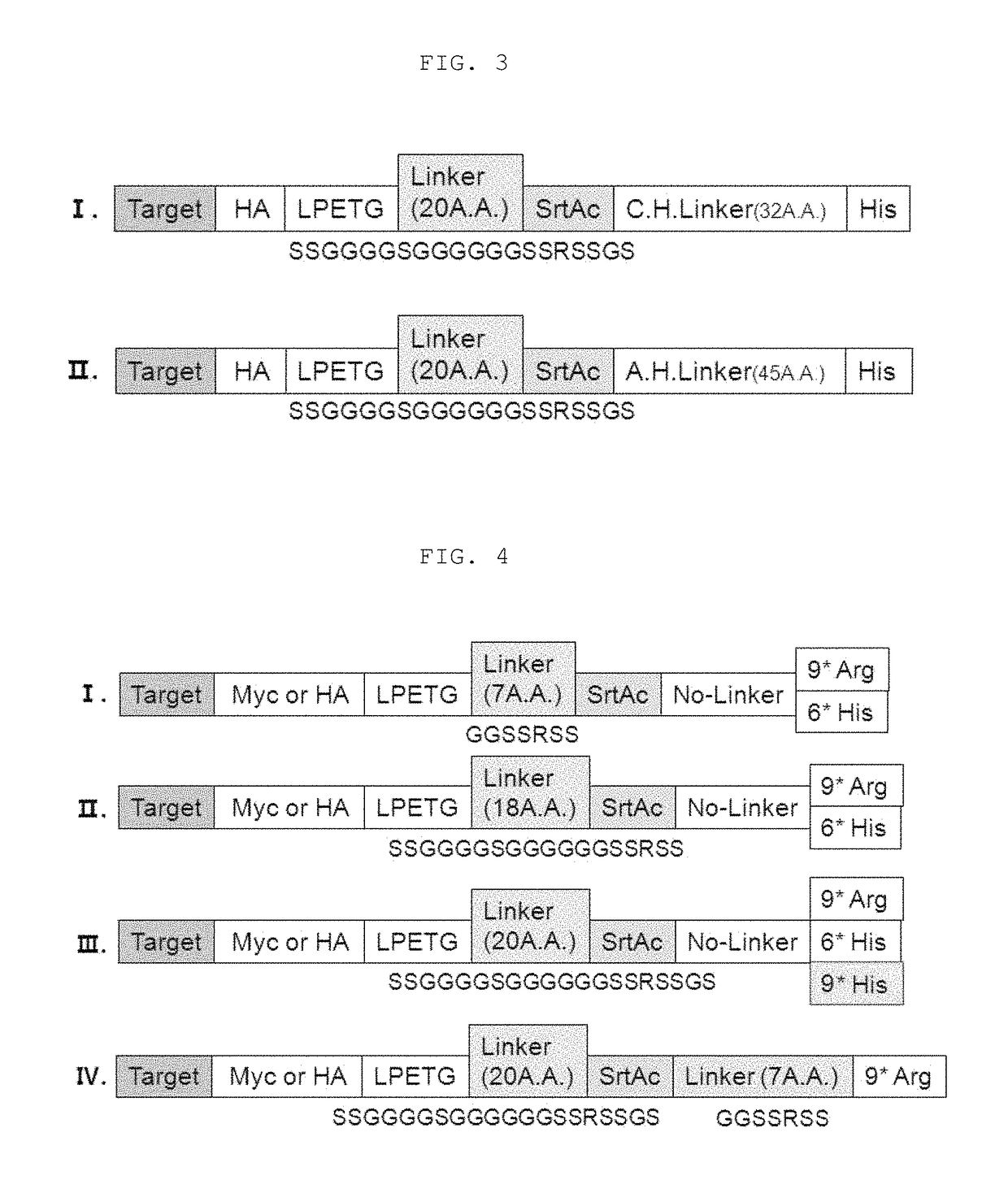 Method for refining protein including self-cutting cassette and use thereof