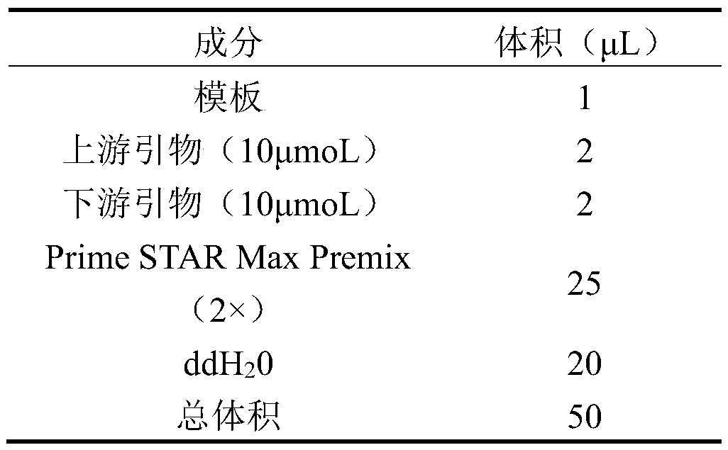 Isocitrate dehydrogenase kinase mutant and application thereof in preparation of aromatic amino acids