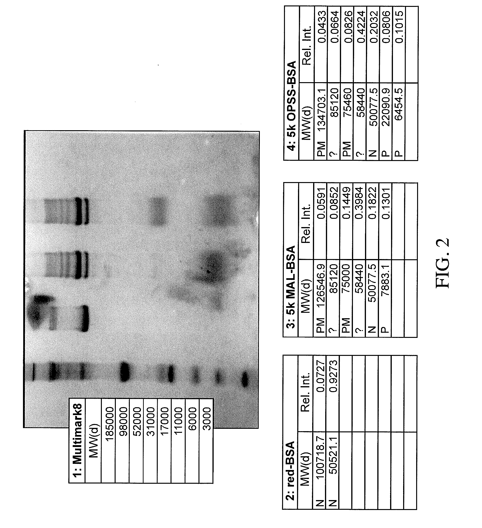 Stabilized Polymeric Thiol Reagents