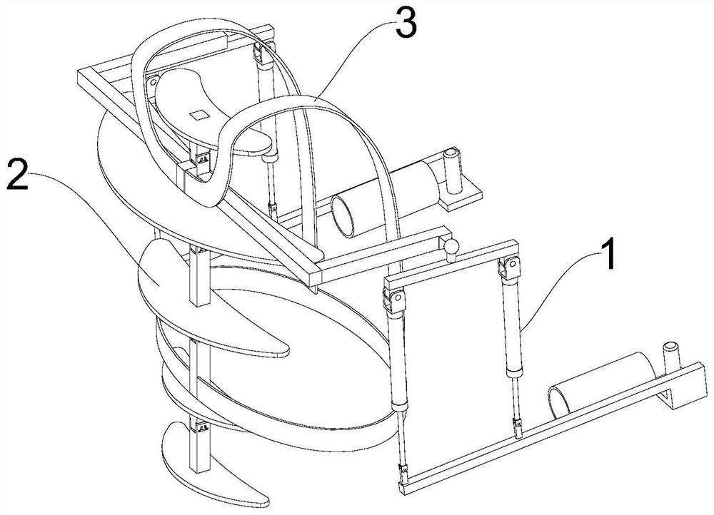 Fishbone-type exoskeleton device