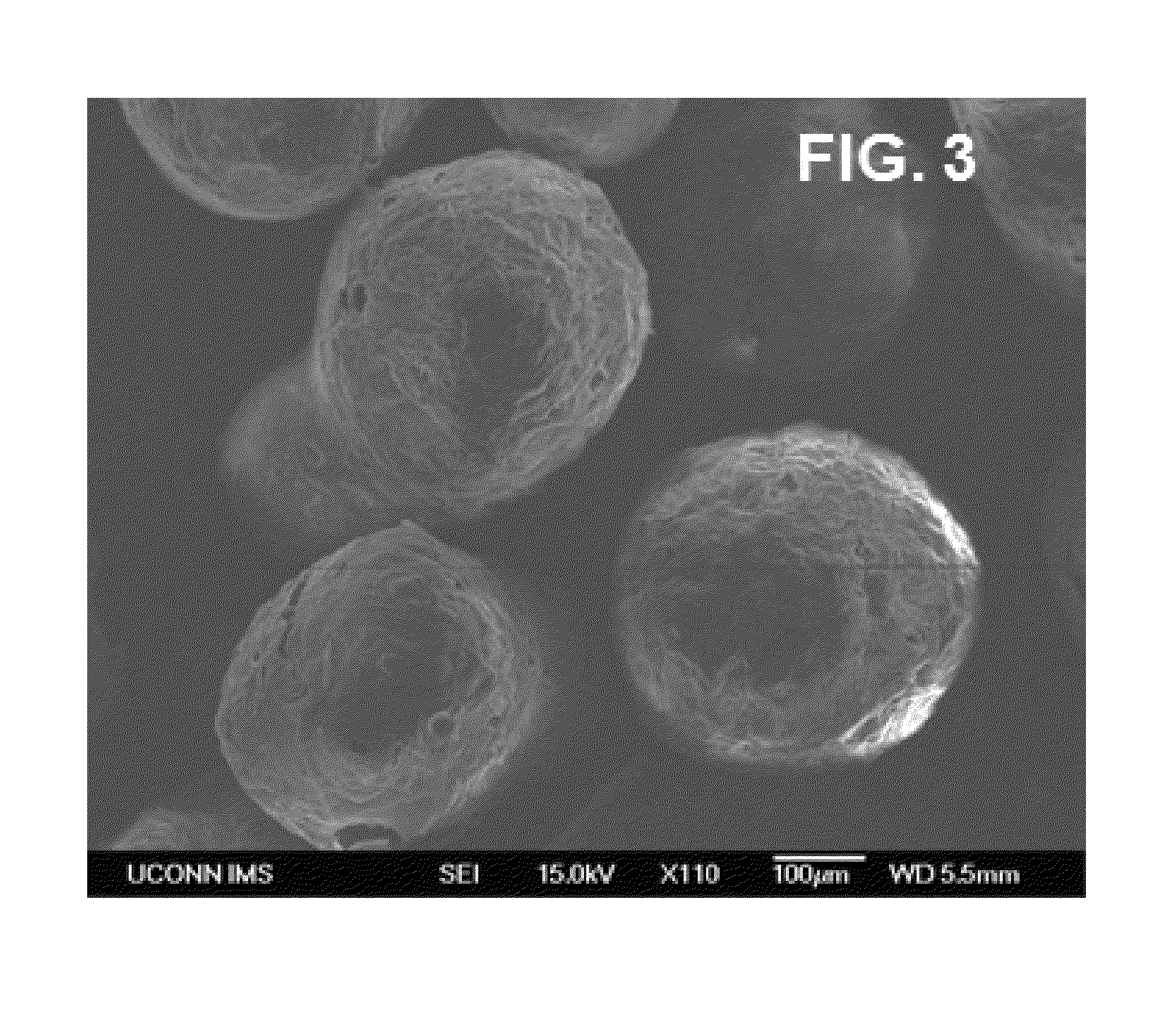 Method for the production of multiphase composite materials using microwave plasma process