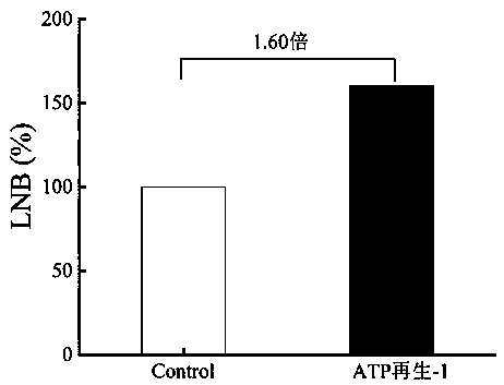 A method for synthesizing lacto-n-disaccharides