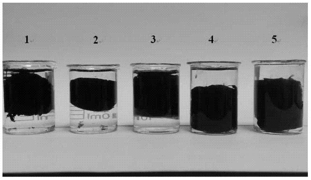 Graphene sponge used for enriching heavy metals or removing pollutants in water and preparation method of graphene sponge