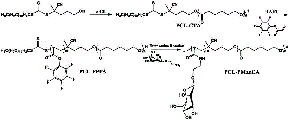 Sugar-containing amphiphilic segmented copolymer and preparation method thereof