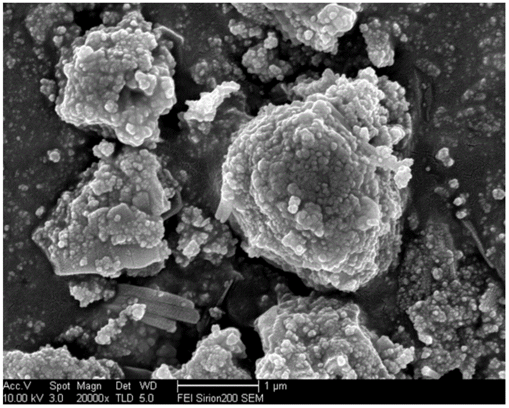 A kind of preparation method of three-dimensional porous carbon/nano NiO composite material