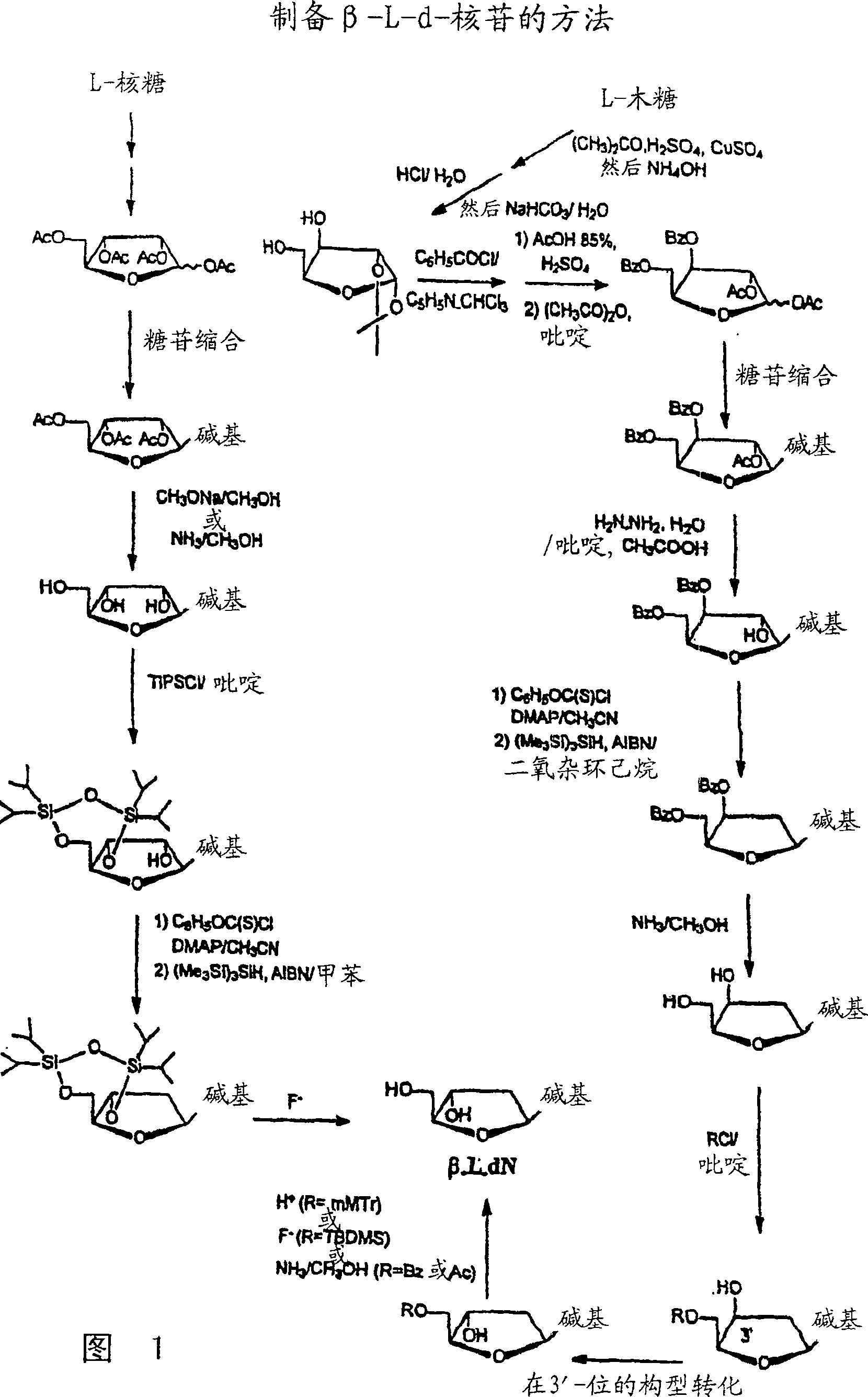 Methods for treating hepatitis delta virus infection with beta-L-2' deoxy-uncleosides