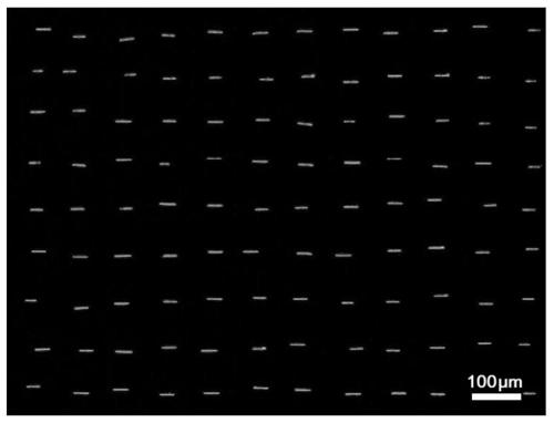 One-dimensional magnetic assembly array with single nanoparticle precision and its preparation method and application