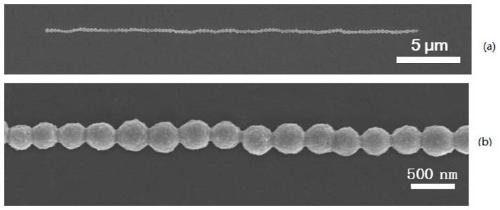 One-dimensional magnetic assembly array with single nanoparticle precision and its preparation method and application