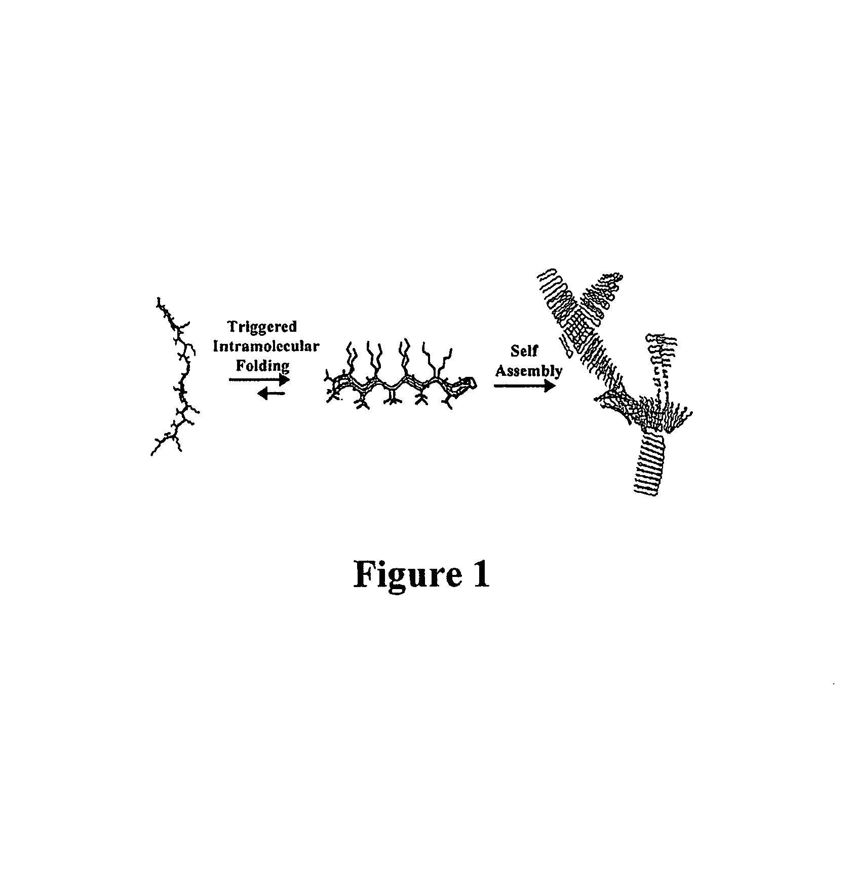 Hydrogels and uses thereof