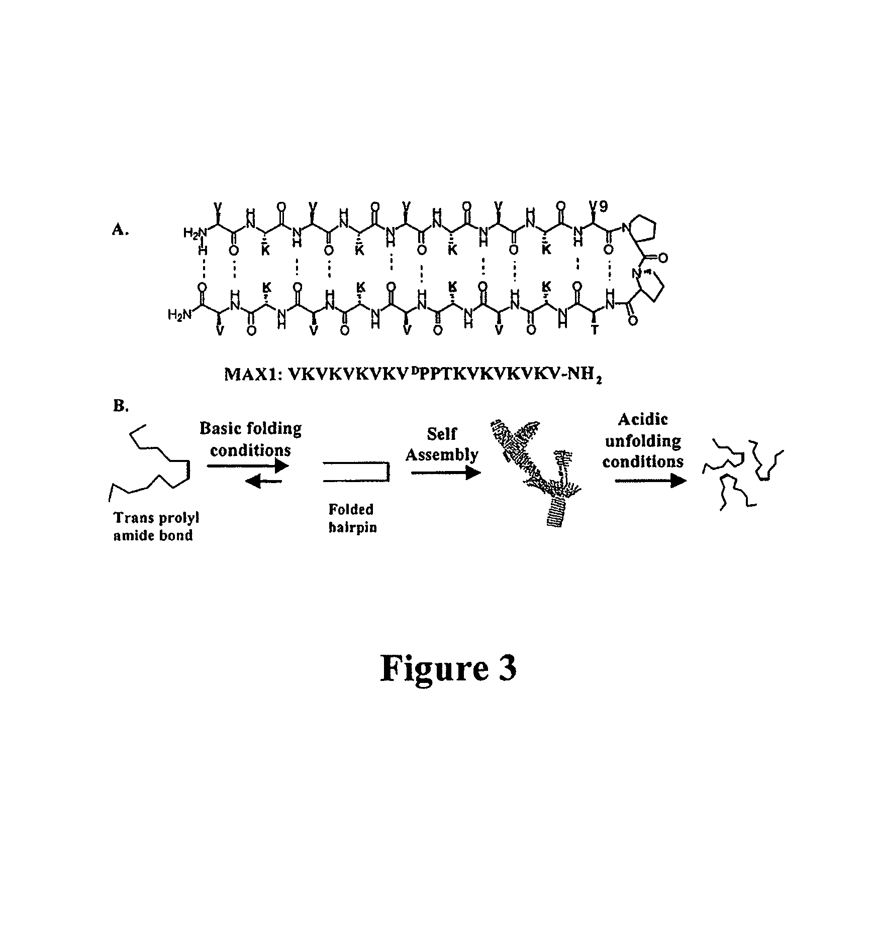 Hydrogels and uses thereof