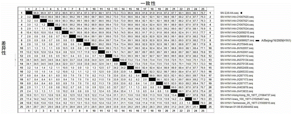 Vaccine composition containing porcine circovirus type 2 antigen and swine influenza antigen