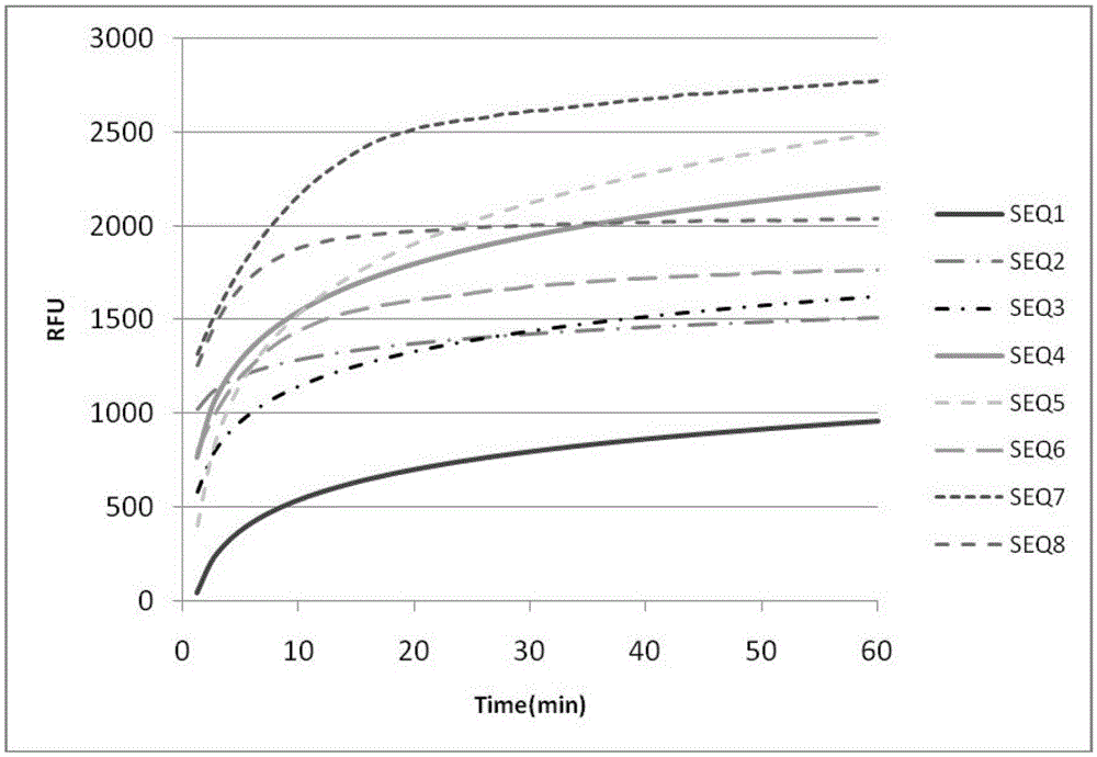 DNA probe, reagent kit and method for detecting deoxyribonuclease