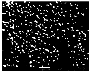 An enzyme-free glucose sensor