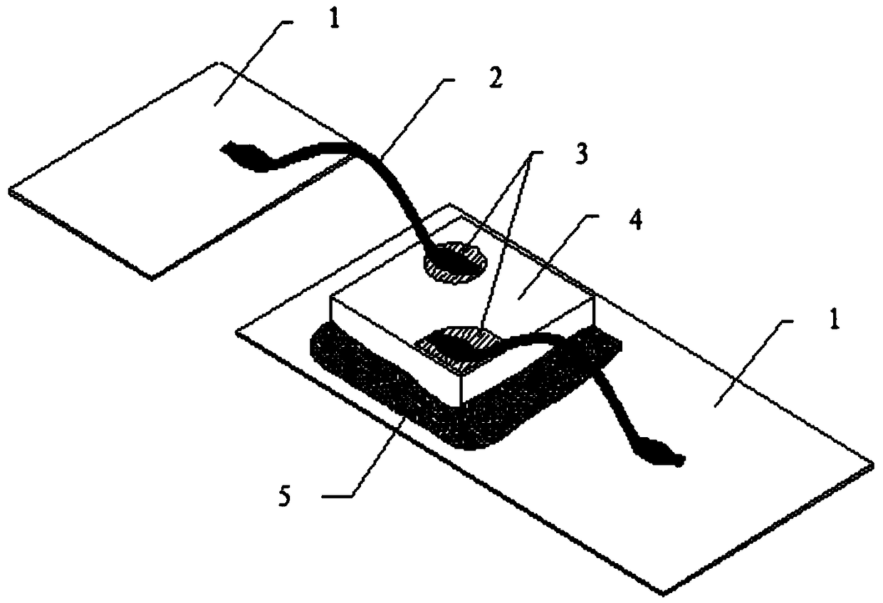 A flip-chip blue-white light digital tube and a production method thereof