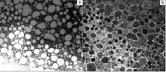 Porous foam body heavy metal adsorption material preparation method